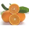 ARANCE 90 1 Kg