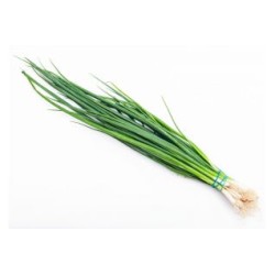 ERBA CIPOLLINA  500 Gr