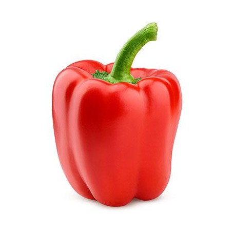 PEPERONI ROSSI  500 Gr