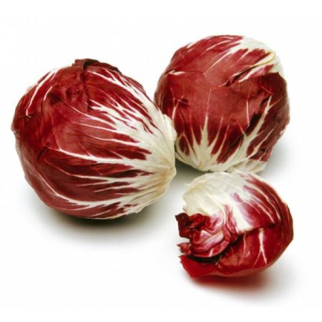 ROSSO VERONA  500 Gr