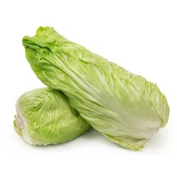 TORCILIONI 1 Cassetta