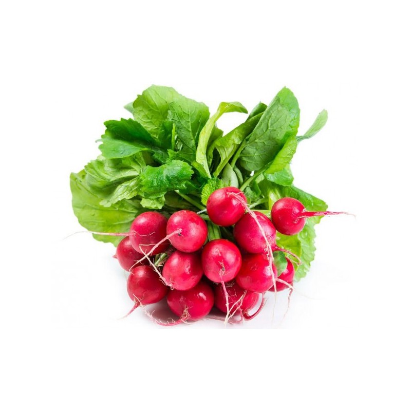 RAPANELLI 1 Cassetta