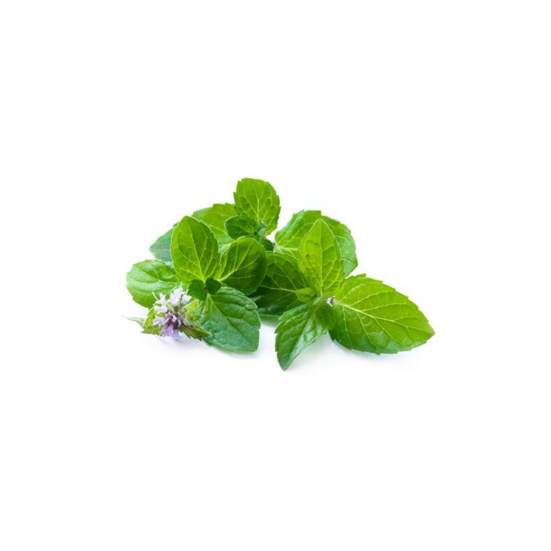 MENTA 100 Gr