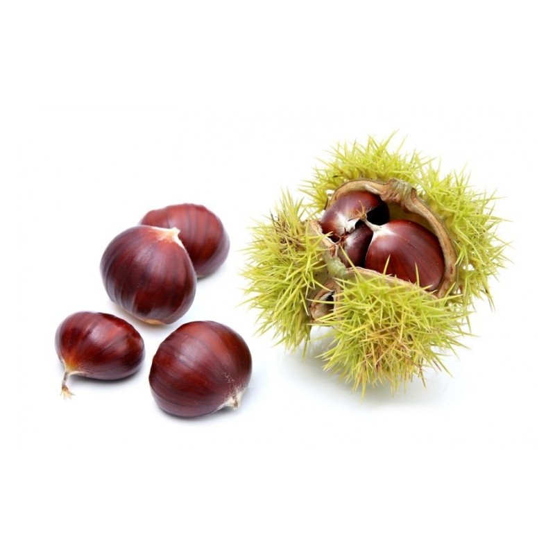 CASTAGNE/ MARRONI 1 Cassetta
